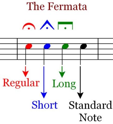 Fermata Music Definition and its Unique Interpretations